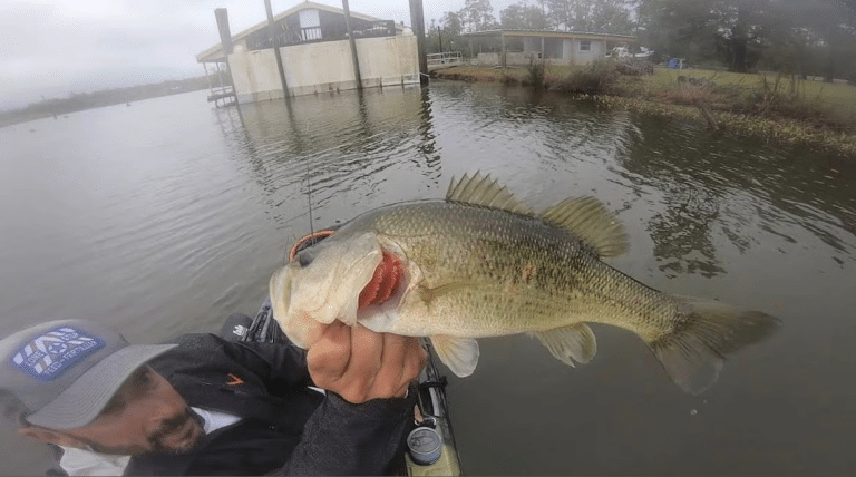 Fishing