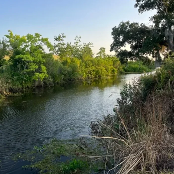 Salt Bayou bank near Salt Bayou Kampground RV Park