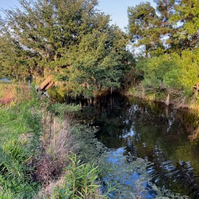 Salt Bayou in Slidell, LA