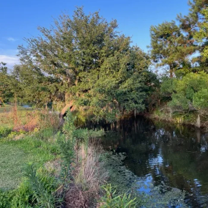 The Bank of Salt Bayou at Salt Bayou Kampground RV Park